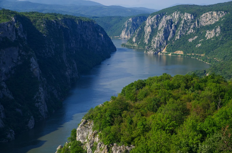 1 veliki strbac