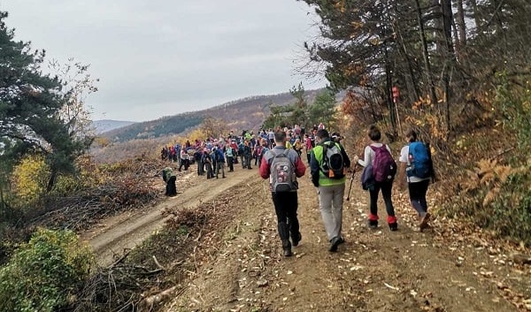 2 toplicka transverzala