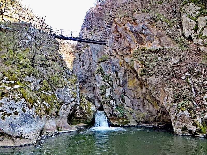 Zeleni_vir_naslovna