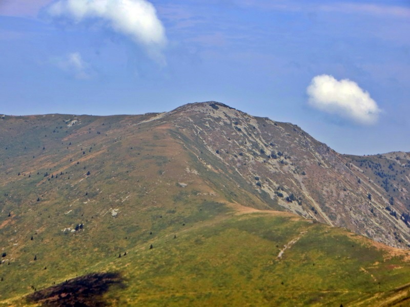 Dupljak1