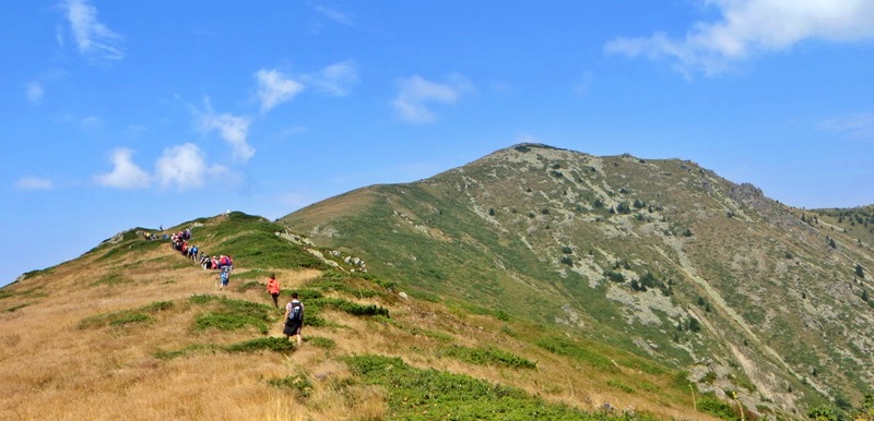 Dupljak2