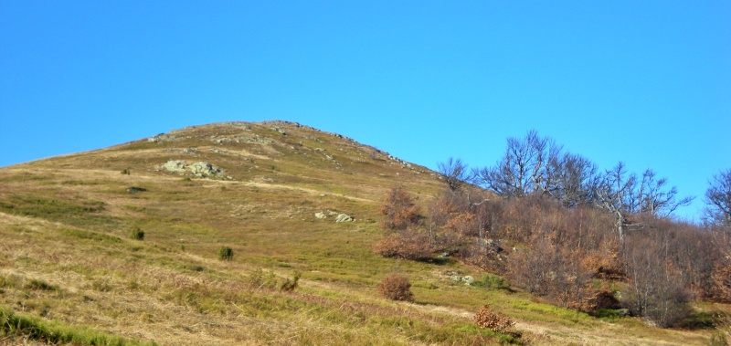 1_zeljin_vrh_naslovna