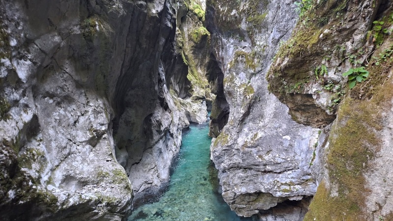 Tolminska korita