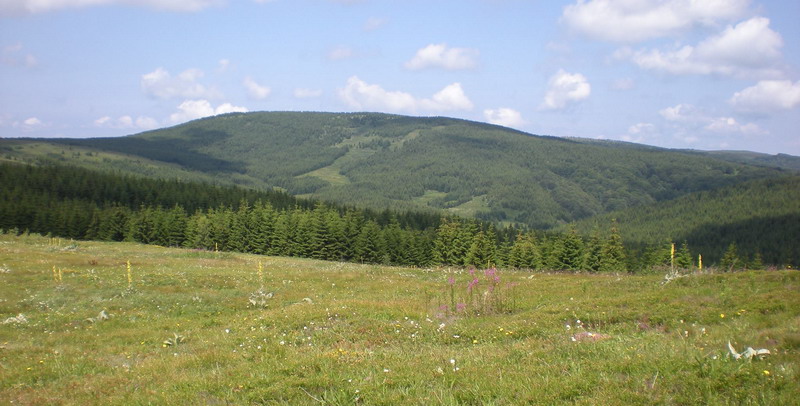 vlasina_2017