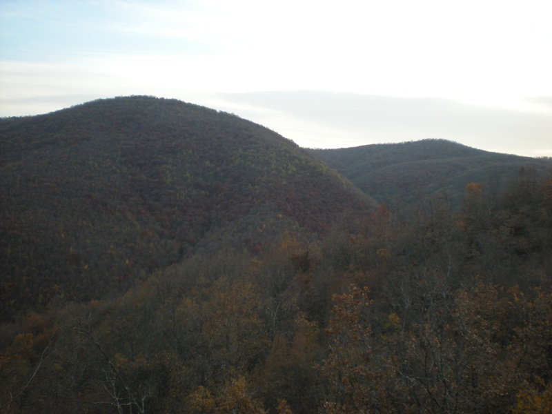 Ostrovica