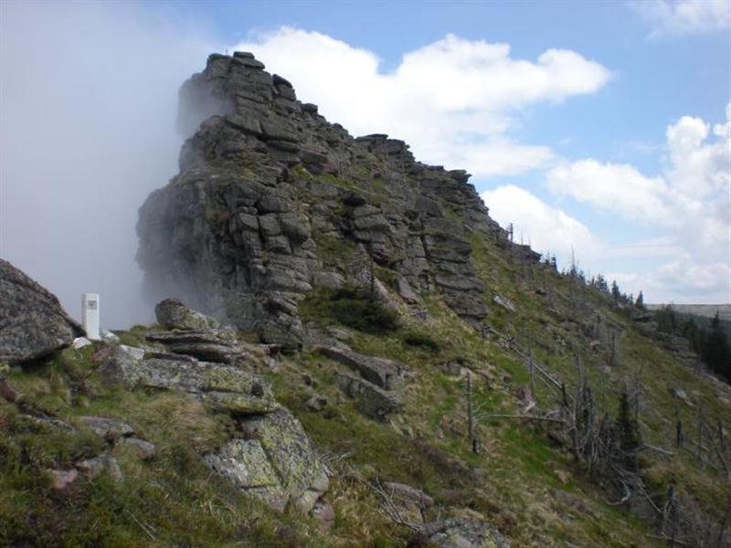 prva cuka pogled unazad