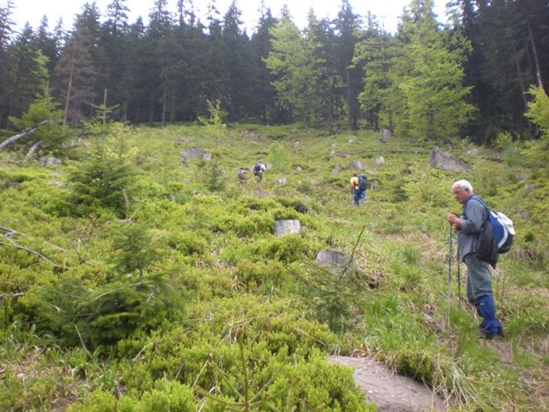 strmo uz medja planinu