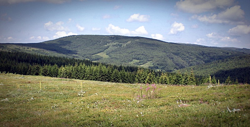 Cemernik_1