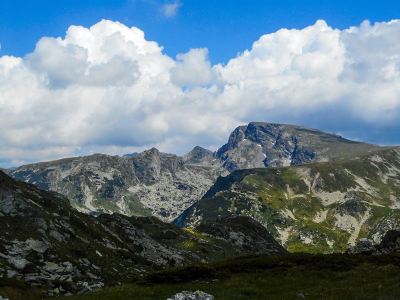 120 maljovica