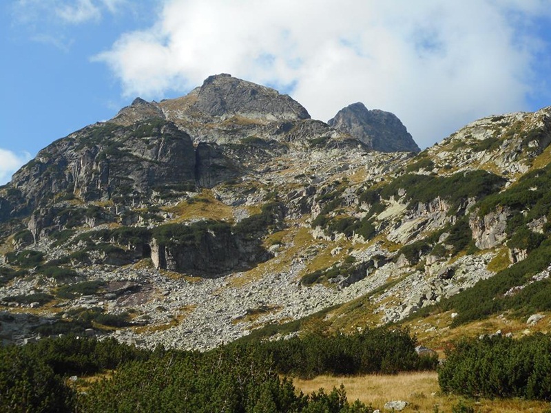 40_Maljovica
