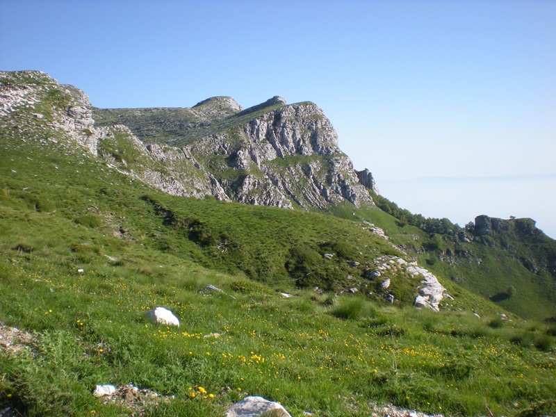 15 greben pangea