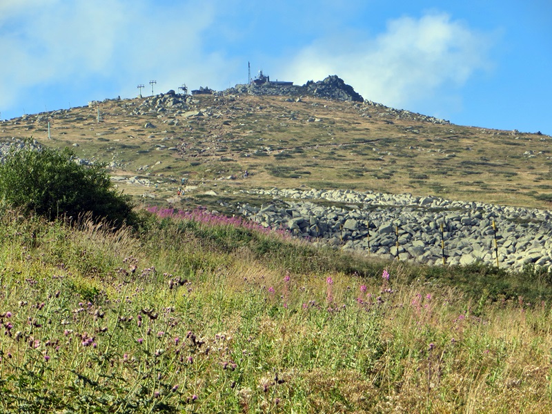 120 Cerni Vrh