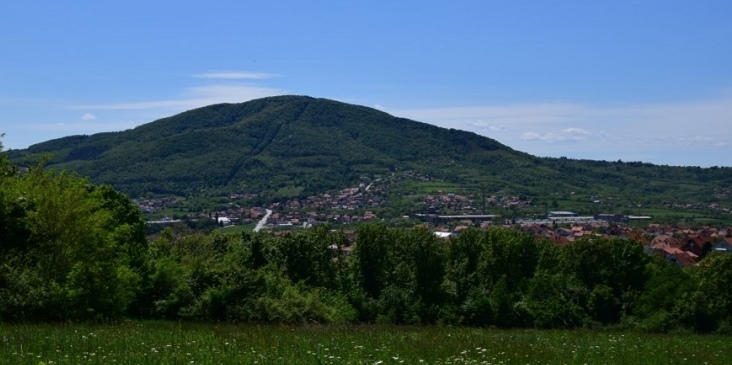 40 bukulja
