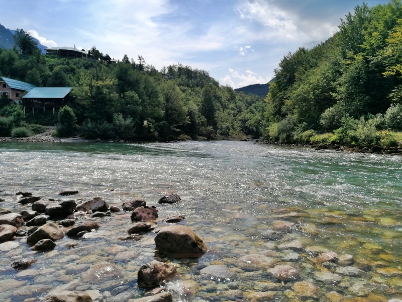 15 drina