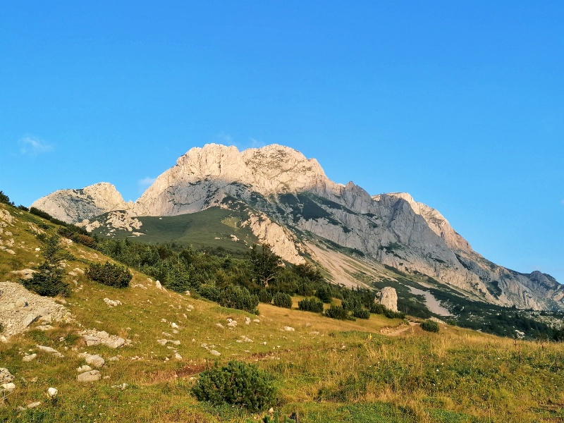 20 maglic popodne