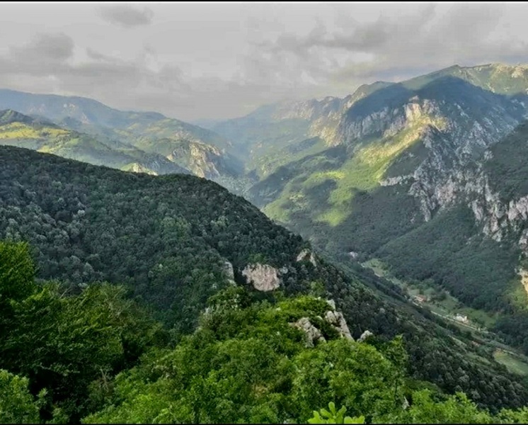1_domogled_naslovna