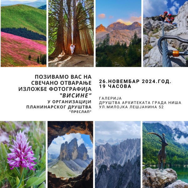Plakat Aleksandra Miljkovic