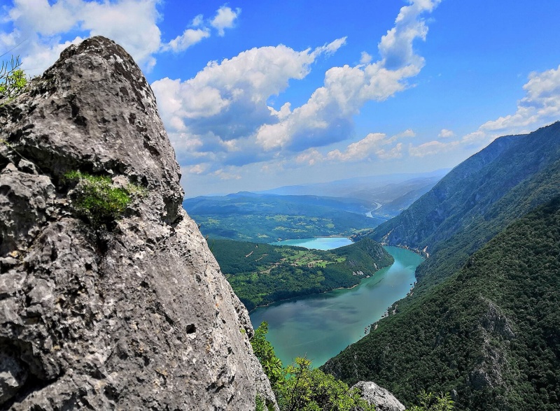 DRINA