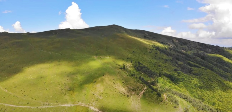 7_kadiica