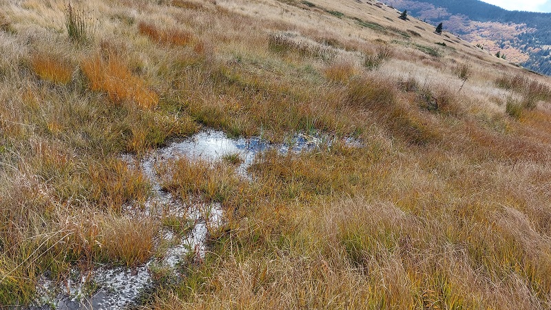 Izvor Nisave