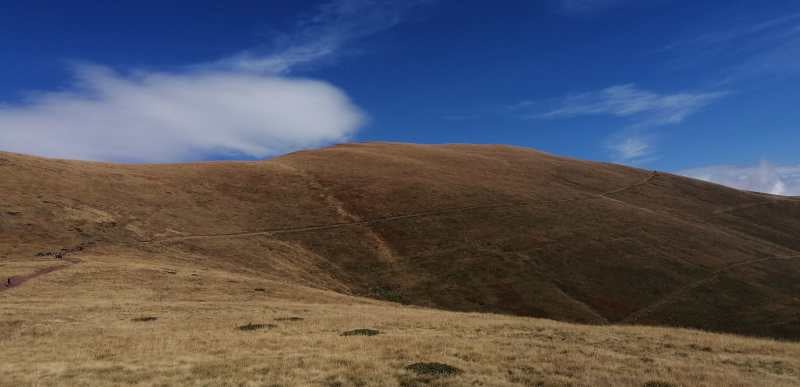 100_midzor_sa_babinog_zuba