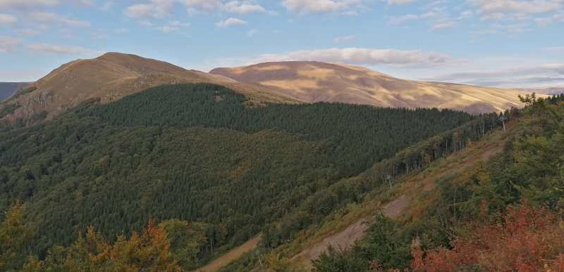 102 midzor sa babinog zuba