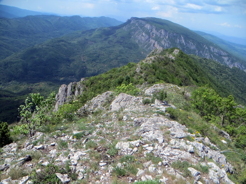 Vlaska_planina_sa_Grebena