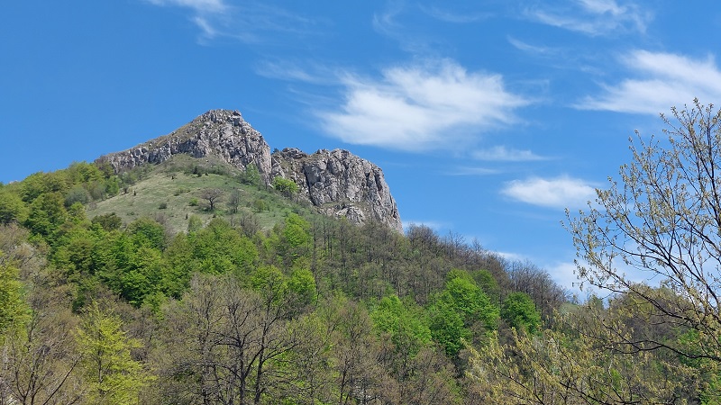 Treska_2